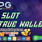member slot true wallet